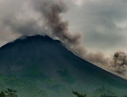 Gunung Merapi Luncuran Awan Panas 1,8 Kilometer