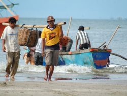 Nelayan Masih Libur Lebaran, Harga Ikan di Pasar Masih Tinggi