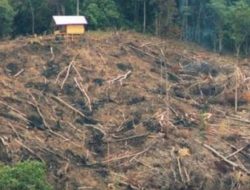 Kejahatan Hutan dan Lingkungan Hidup Meningkat, Dedi Mulyadi Menilai Perlu Bentuk Lembaga Khusus Menanganinya