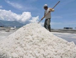 Ketahui Manfaat Garam Laut, Bikin Wanita Ketagihan, Begini Cara Pakainya