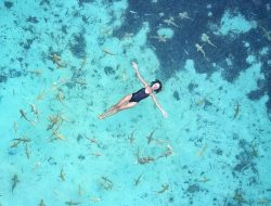 Sensasi Bercengkrama dengan Bayi Hiu Blacktip di Pulau Tinabo Selayar