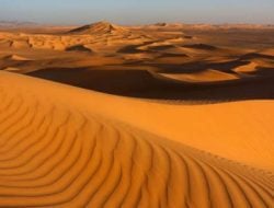 Lagi Heboh di TikTok, Ada Apa dengan Gurun Sahara?
