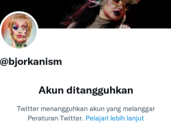 Habis Sindir Puan, Erick dan Denny Siregar, Akun Bjorka Ditangguhkan Twitter