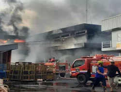 Gudang JNE di Cimanggis Terbakar, Eiger Adventure Klaim Rugi Rp50 Miliar