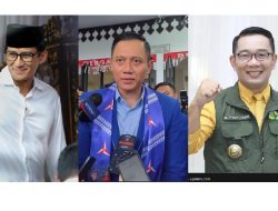 AHY, Ridwan Kamil atau Sandiaga? Ini Analisa Pengamat Soal Cawapres Anies