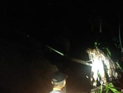 Longsor Susulan di Tulungagung, Tiga Warga Meninggal Dunia Tertimpa Material Longsoran