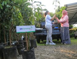 Dukung Net Zero Emission, BRI Menanam Proyeksikan Kontribusi Penurunan Emisi Karbon Hingga 23% di 2025