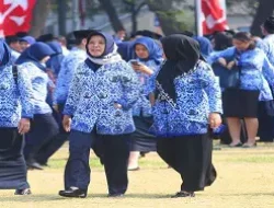 522 Guru Lulus PG di Daerah Ini Prioritas Diangkat PPPK 2023