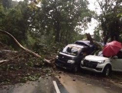 Longsor di Malino, Dinas PUTR Sulsel: Segera Lakukan Penanganan Darurat Pembukaan Akses