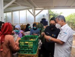 Menteri BUMN Apresiasi Kinerja Holding Ultra Mikro Dongkrak Inklusi Keuangan