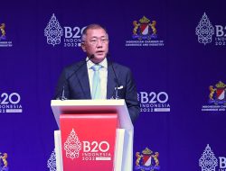 Di B20 Summit Indonesia 2022, Executive Chair Hyundai Motor Ajak Sikapi Perubahan Iklim dan Kemiskinan Energi
