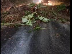 Longsor Perbatasan Tinggimoncong-Parangloe Lumpuhkan Jalan, Telan 4 Korban Jiwa