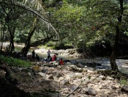 Ekonomi Masyarakat Desa Samangki Tumbuh Berkat Wisata Bislab