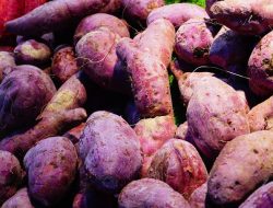 Khasiat Ajaib Ubi Jalar untuk Kesehatan, Selain Buat Diet