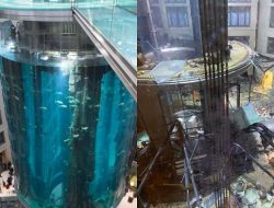 Akuarium Silinder Terbesar di Dunia Meledak, Tumpahkan 1 Juta Liter Air dan 1.500 Ikan Terhambur di Jalan
