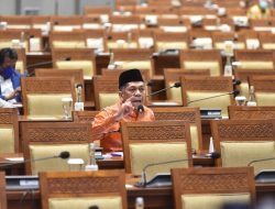 Selain Menolak Pasal Penghinaan, PKS Tegaskan Pentingnya Larangan Perilaku LGBT Berdasarkan Pancasila