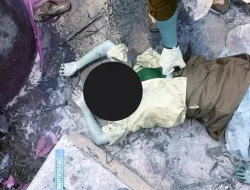 Tersinggung Jawaban Ngomong Aja Au Au Au, Motif Rizki Lewa Al Reza Habisi Lidya Patmos Br Sitinjak