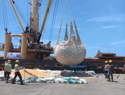 Ekspor Perdana di 2023, 6.150 Jagung Sulsel Dikirim ke Filipina Senilai Rp 30,43 Miliar