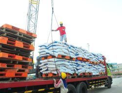 310 Ribu Ton Pupuk Bersubsidi Disalurkan ke Indonesia Timur, Sulsel Dijatah 39 Ribu Ton