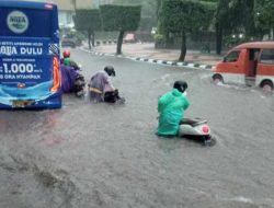 Semarang Banjir Parah, Addie MS Malah Soroti Sumur Resapan yang Dibangun Anies, Netizen: Artis Bego