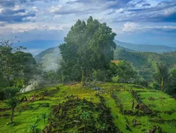 Gunung Padang Cianjur,  Situs Megalitik Miliki Struktur batu-batu yang Tersusun Secara Alami
