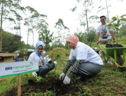 Memberi Makna Indonesia, Simak Sederet Capaian BRI Terus Tebarkan Social Value