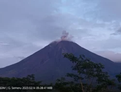 Gunung Semeru Erupsi, Semburan Awan Panas Capai 800 Meter