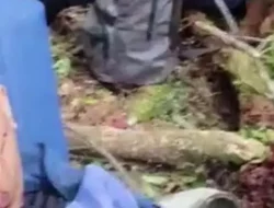 Kecelakaan Helikopter di Hutan Tamiai, Jenderal Listyo Sigit Prabowo Jelaskan Ini