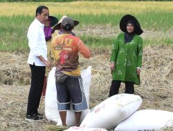 Keluh Petani ke Jokowi: Pupuk Susah dan Mahal Pak!