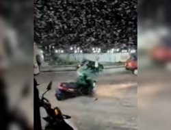 Laron Menyerang Magelang, Pengendara Motor Sampai Jatuh