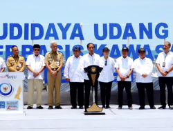 Resmikan Tambak Udang Berbasis Kawasan, Jokowi Dorong Manajemen Budidaya Modern