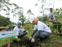 Konsisten Terapkan Prinsip Keberlanjutan, Indeks dan Peringkat ESG BRI Semakin Menanjak