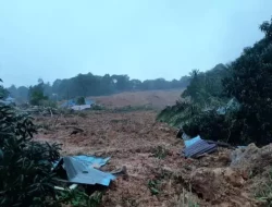 Satu Kampung di Natuna Tertimbun Longsor, 10 Korban Meninggal Berhasil Dievakuasi