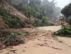 Potensi Hujan Lebat dan Angin Kencang, BMKG Peringatkan Warga Waspadai Banjir dan Longsor