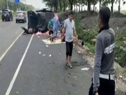 Kecelakaan di Tol Cipali, Tiga Orang Meninggal Dunia