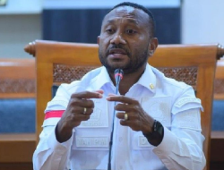 Legislator Yan P Mandenas: 6 Anggota TNI Meninggal dan 21 Hilang Akibat Kontak Tembak dengan KKB Papua