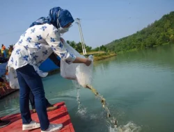 Tingkatkan Produksi Ikan Air Tawar, Anne Ratna Mustika Dorong Serangkaian Inovasi