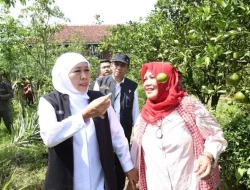 Kasus Korupsi Dana Hibah, KPK Periksa Khofifah Besok