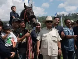 Survei PWS, Elektabilitas Prabowo Subianto Tertinggi dengan Persentase seperti Ini