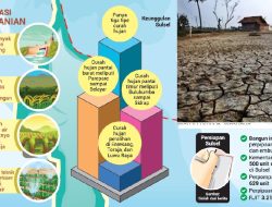 Kemarau Ekstrem Berlanjut Sampai 2024, Sulsel Tangguh Hadapi El Nino