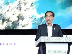 Menggali Dana Pembiayaan Hijau demi Mengatasi Perubahan Iklim