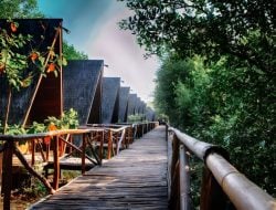 Inilah Destinasi Wisata Menarik untuk Dikunjungi di Hari Libur