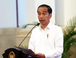 Buntut Polemik Kabasarnas dan KPK, Jokowi Akan Evaluasi Penempatan Perwira TNI Aktif di Jabatan Sipil
