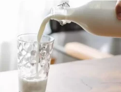 Konsumsi Susu di Indonesia Masih Rendah, Tri Melasari Sampaikan Ini