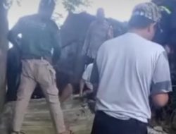 Tembok Kantor Lurah di Maros Roboh, 1 Orang Meninggal Dunia