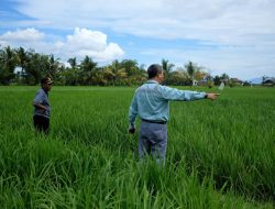 Dorong Pertanian Ramah Lingkungan, PT Vale Komitmen Hadirkan Kemandiran Masyarakat di Area Pemberdayaan