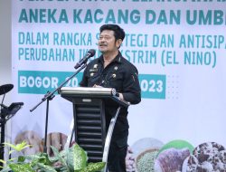 Kementan Dorong Daerah Tambah Lahan untuk Kedelai