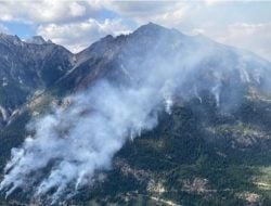 Kementerian Luar Negeri Pastikan Tak Ada WNI Jadi Korban Kebakaran Hutan di Kanada