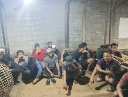 Apes! 7 Pria di Makassar Ditangkap Polisi saat Sedang Asyik Main Judi Sabung Ayam