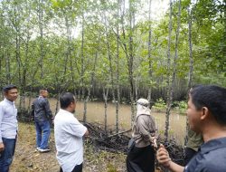 Gubernur Andi Sudirman Minta DKP Sulsel Contohi Kesuksesan Carbon Trading di Kepri untuk Tingkatkan PAD